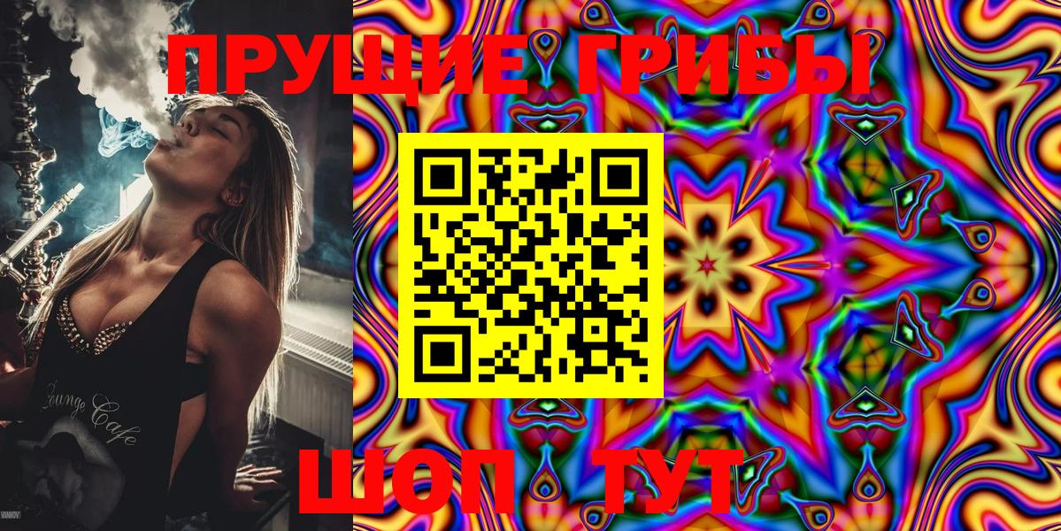 Корсаков  Галлюциногенные грибы MAGIC MUSHROOMS  Вход с VPN 