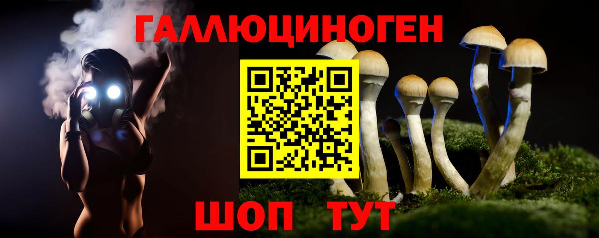 Псилоцибиновые грибы MAGIC MUSHROOMS Корсаков